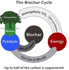 BiocharCycleCryos