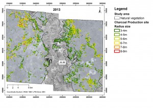 Rembold MAPPING FOREST DEGRADATION 2013